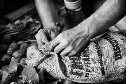 documentary-farmer-hands